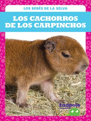 cover image of Los cachorros de los carpinchos (Capybara Pups)